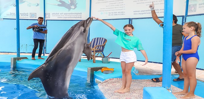 Playing with dolphin